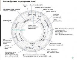 R - шина с радиальным кордом! Размер - в двухзначном числе (в дюймах) после этой буквы, это посадочный диаметр, или диаметр диска, для которого она делалась (диаметр обода).
Так же присутствуют: ширина профиля, высота в процентах от ширины, и индекс нагрузки и скорости, и другие обозначения.

Если вы думаете что R это - радиус, то вынужден вас огорчить. Это не так.

У дисков есть только посадочный диаметр обода, в дюймах. ДИАМЕТР! И никаких букв там нет! Если только тупые, или неграмотные, продавцы, которые ставят ценники на автомобильные диски, с припиской R к посадочному диаметру.  Учите матчасть, чтоб не выглядеть глупо.