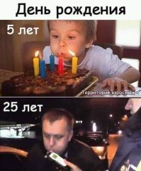 Прикольные и смешные картинки