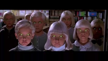 Это наши котики