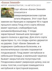 Такой сорт яблок реально существует.