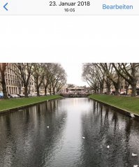 У нас газоны круглый год зеленые, не учитывая особо жарких дней, но больше недели они обычно не длятся.