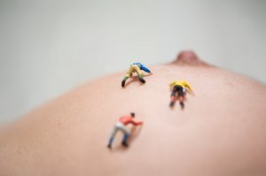 Маленькие миры Криса Виллемсена