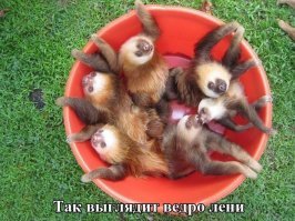 Ленивая подборка для тех, кто на самом деле устал