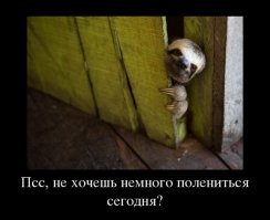 Ленивая подборка для тех, кто на самом деле устал