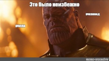 Фотоподборка для хорошего настроения