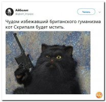 Ищите, ищите.