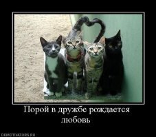 С добрым утром!