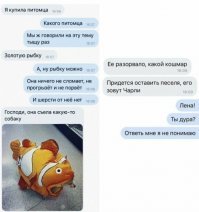 Прикольные и смешные картинки