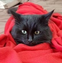 С добрым утром!