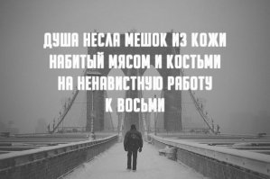 Мой любимый )