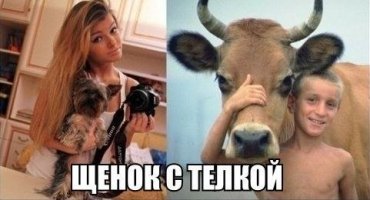 Прикольные и смешные картинки