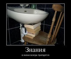 15 наглядных примеров пользы и бесполезности образования