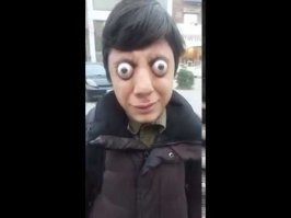 Как отучить чаек воровать еду?