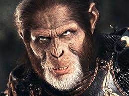 Махачкала танцует! Хабиб вернулся с Дагестан