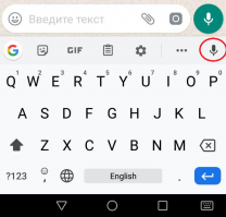 У меня второго микрофона, почему то нет.