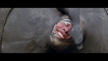 Разъяренный носорог пустился в погоню за группой туристов