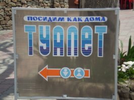 Креативизм головного мозга