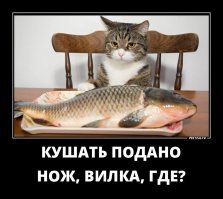 Четверг - рыбный день

.