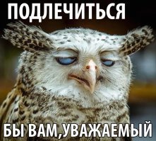 Прикольные и смешные картинки