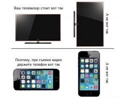 Злодей не дал поспать лошадке на диване