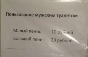 Креативизм головного мозга