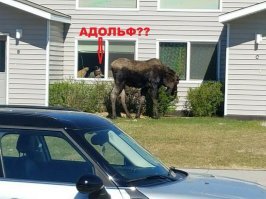 любителям заговоров посвящается