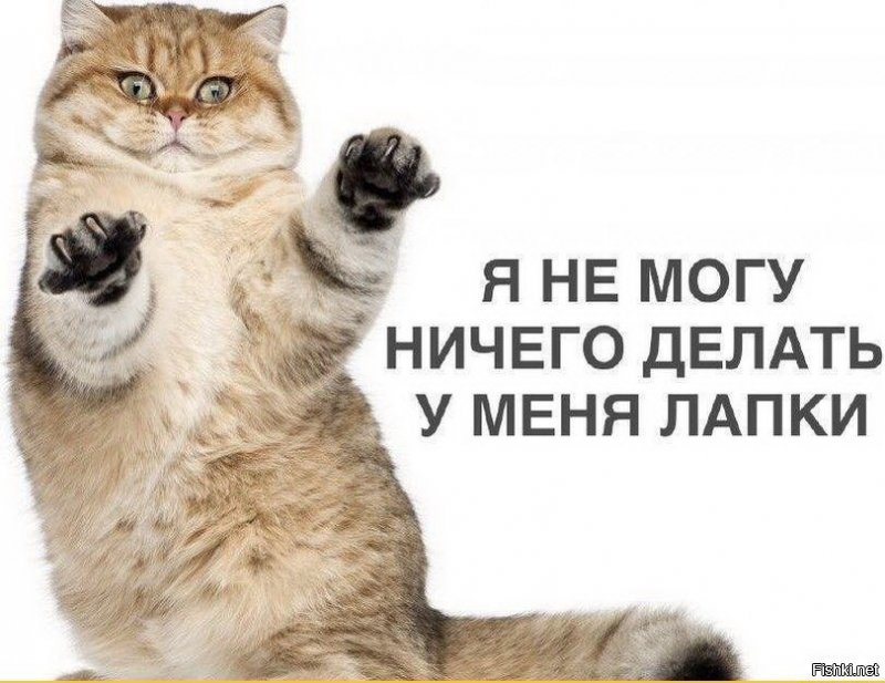 Солянка от 12.09.2019