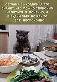 На самом деле вы алкоголик: 10 мифов о пьянстве, в которые все верят