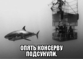 Невероятные морские обитатели, встреча с которыми вызывает всплеск адреналина