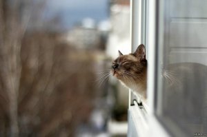 Фотограф раскрывает тайную красоту природы