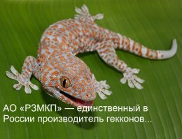 «Росэлектроника» начинает поставлять герконы на североамериканский рынок