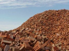  В краснодарскую парикмахерскую заглянул неожиданный  гость