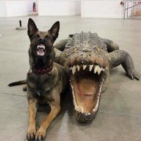 Начальник караула со взводным))