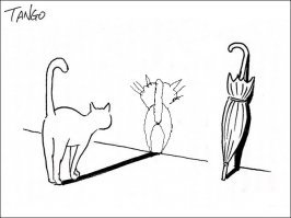 Что-то поросят много, кошки в моде