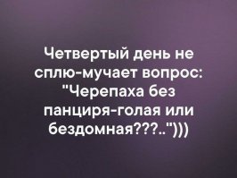 Спи спокойно.Черепаха без панциря=мертвая черепаха. У неё хребет и ребра сросшиеся с панцирем.