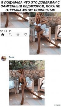 Прикольные и смешные картинки