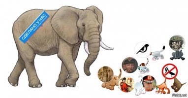 К вечеру заступит смена канадского воробушка и послушаем :)