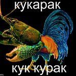 Нет, кукурак это примерно такое