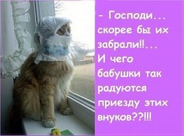 Прикольные и смешные картинки