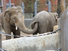 Фотоподборка