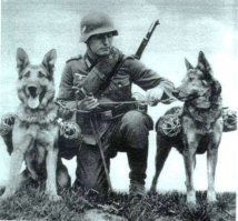 И все это нужно умножить на 2, поскольку собаки воевали и с противоположной стороны!