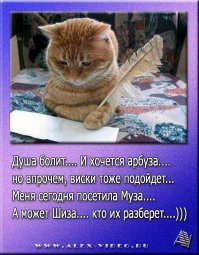 Алкопост на вечер этой пятницы
