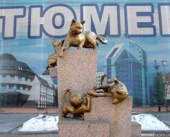 Сквер сибирских кошек

Название сквера связано с тем, что в Ленинграде, только что пережившем блокаду, почти не осталось кошек, и город был буквально заполонён крысами. По легенде для борьбы с крысами тюменцы отправили в Ленинград целый вагон кошек   238 животных. Всего из Сибири в Ленинград было отправлено около 5 тысяч котов и кошек.

Вдоль сквера установлены гранитные тумбы и фонари, на которых установлены чугунные скульптуры кошек, покрытые золотой краской. На прикреплённой к тумбе памятной табличке сообщается о спасении Эрмитажа кошками из Сибири.