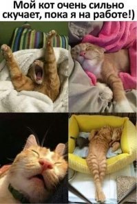 Картинки с надписями