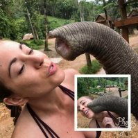 Фотоподборка