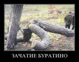 Прикольные и смешные картинки