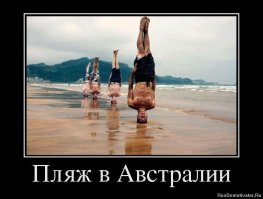 Хозяйка нашла на собаке неожиданного, но очаровательного гостя!