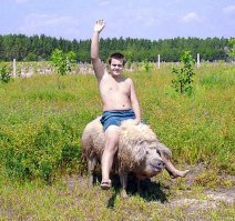 В память о каникулах запало что то типо этого :