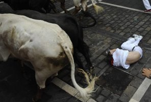 Фотоподборка со всякими зверушками