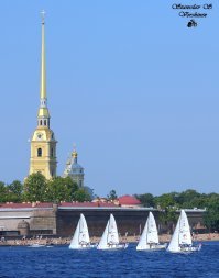 Парусники в объективе одного из самых лучших морских фотографов